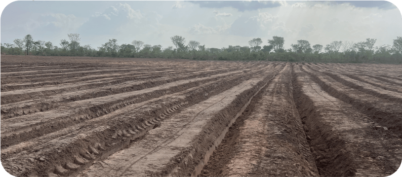 Investment opportunities in farmland